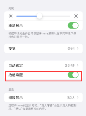 九龙坡苹果授权维修站分享iPhone轻点无法唤醒怎么办