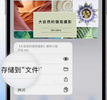 九龙坡apple维修中心分享iPhone文件应用中存储和找到下载文件