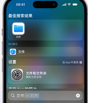 九龙坡apple维修中心分享iPhone文件应用中存储和找到下载文件 