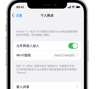 九龙坡apple服务站点分享iPhone上个人热点丢失了怎么办 