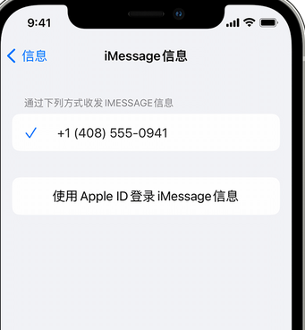 九龙坡apple维修iPhone上无法正常发送iMessage信息 