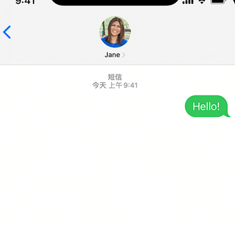 九龙坡apple维修iPhone上无法正常发送iMessage信息