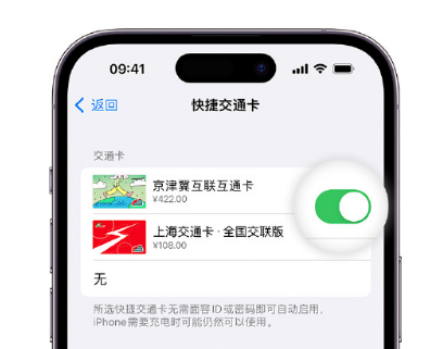 九龙坡apple维修点分享iPhone上更换Apple Pay快捷交通卡手绘卡面 