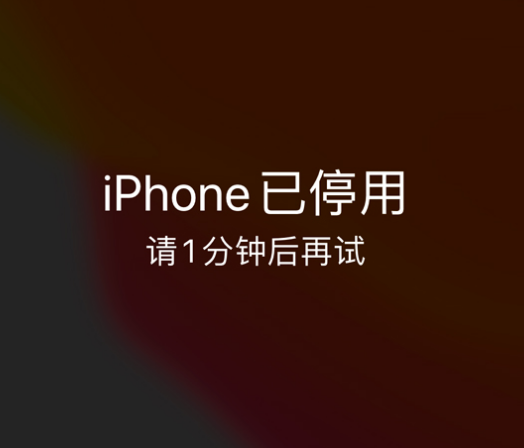 九龙坡苹果手机维修分享:iPhone 显示“不可用”或“已停用”怎么办？还能保留数据吗？ 