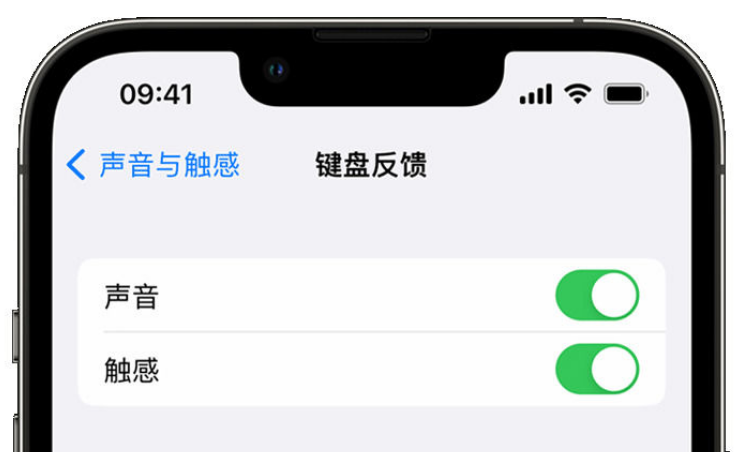 九龙坡苹果手机维修分享iPhone 14触感键盘使用方法 