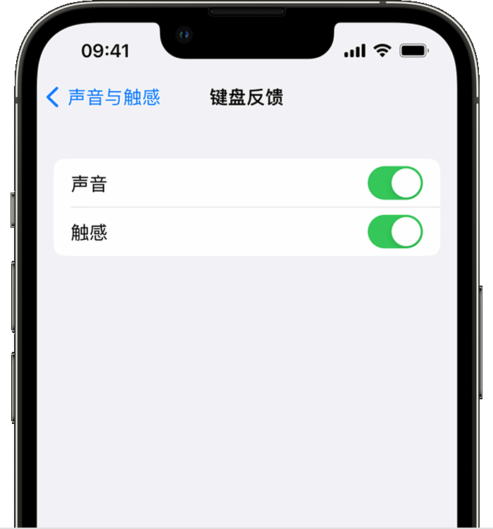 九龙坡苹果14维修店分享如何在 iPhone 14 机型中使用触感键盘 