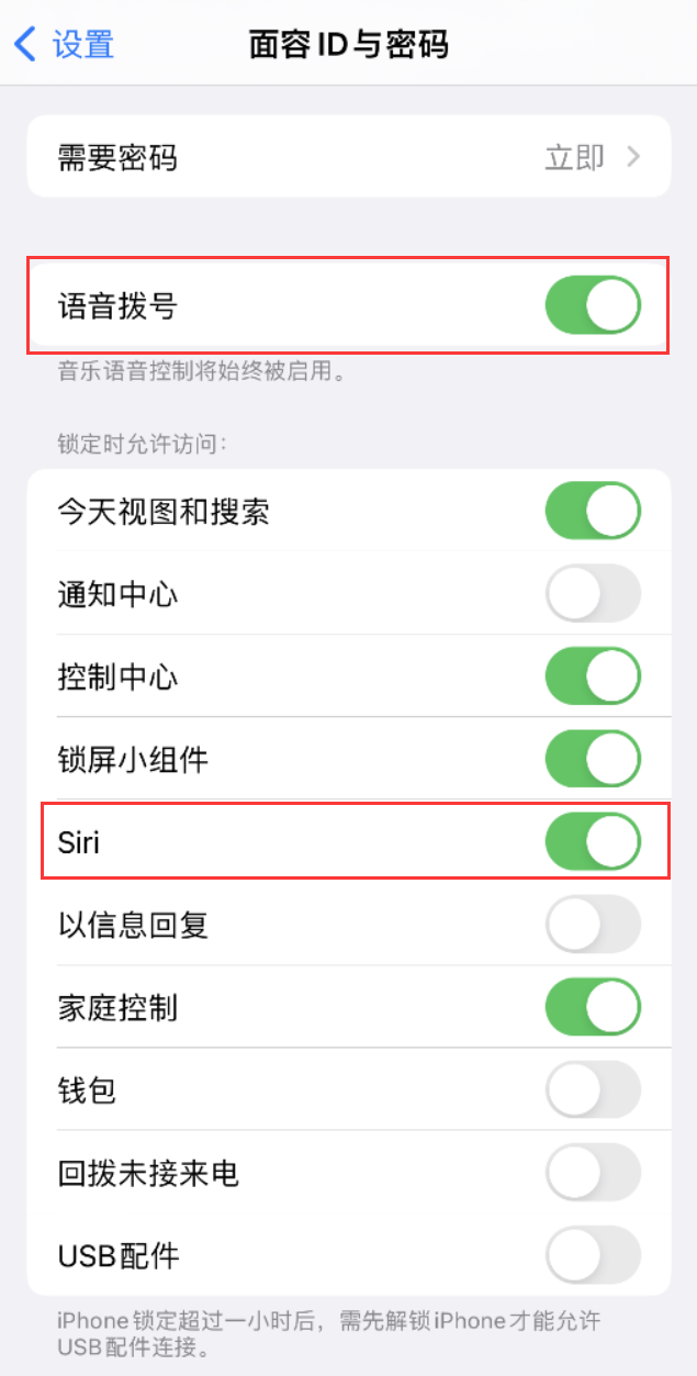 九龙坡苹果维修网点分享不解锁 iPhone 的情况下通过 Siri 拨打电话的方法 