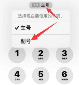 九龙坡苹果14维修店分享iPhone 14 Pro Max使用副卡打电话的方法 