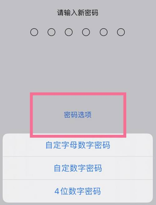 九龙坡苹果14维修分享iPhone 14plus设置密码的方法 