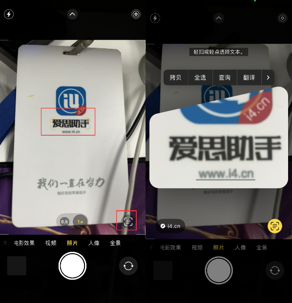 九龙坡苹果手机维修分享升级iOS 16后如何通过相机翻译文本 
