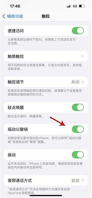 九龙坡苹果手机维修分享iPhone手机如何设置摇一摇删除文字 