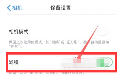 九龙坡苹果13维修分享iPhone13拍照有绿点是怎么回事 